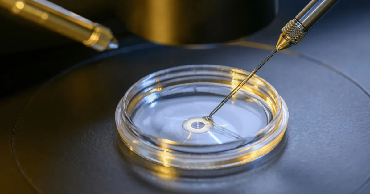 Intra Cytoplasmic Sperm Injection